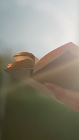 los rayos del sol se reflejan en el libro sostenido por una mujer sentada al aire libre, con las piernas cruzadas, mientras el viento sopla suavemente a través de las páginas, el fondo está suavemente borroso