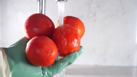 washing tomatoes in the kitchen