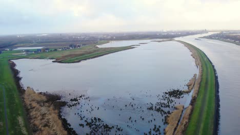 Aerial-Slow-Pedestal-Down-View-Of-Crezeepolder-Nature-Reserve-At-Ridderkerk-In-Netherlands