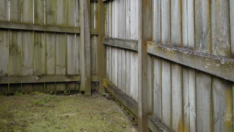 La-Esquina-De-La-Cerca-De-Madera-En-El-Patio-Trasero