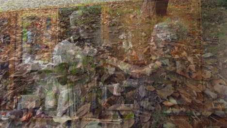 autumn leaves covering ground, animation of transparent figures blending into scene