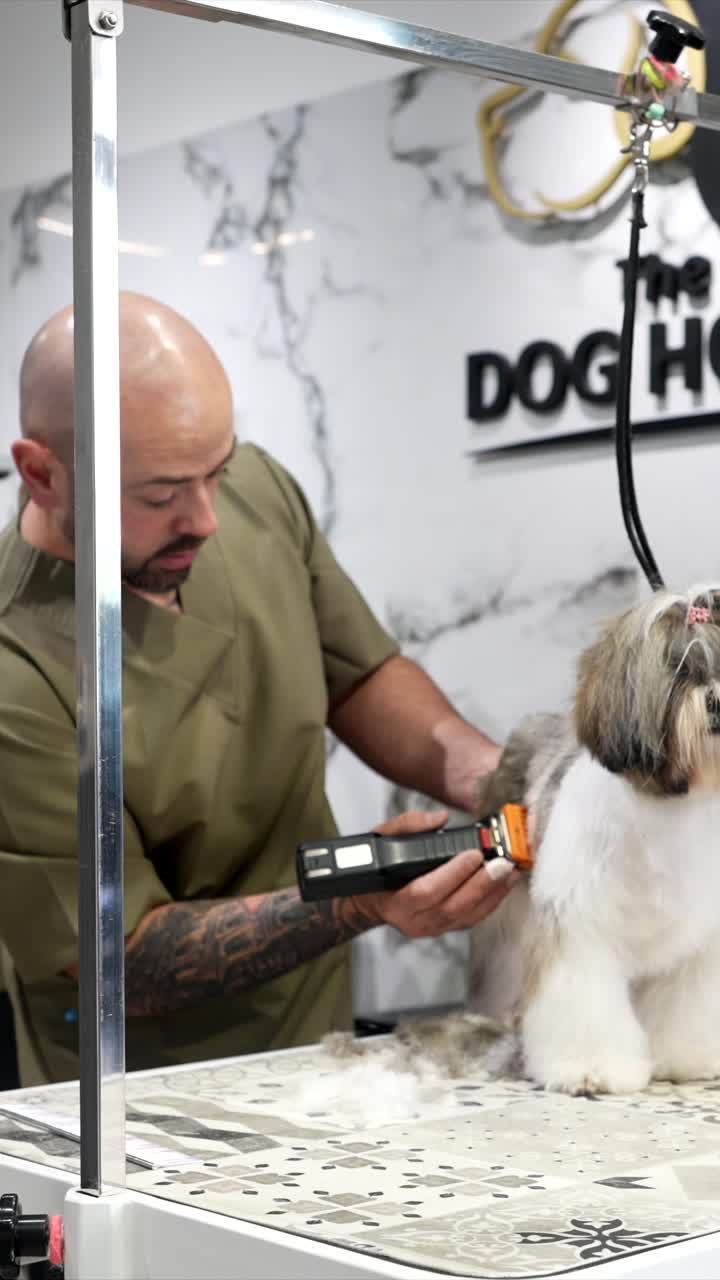 Professional Dog Groomer Trimming a Shih Tzu's Fur with Clippers