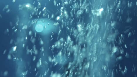 bubbles close up crossing the frame in deep olympic swimming pool