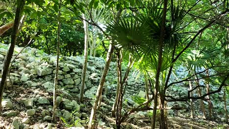 restos arqueológicos en la selva