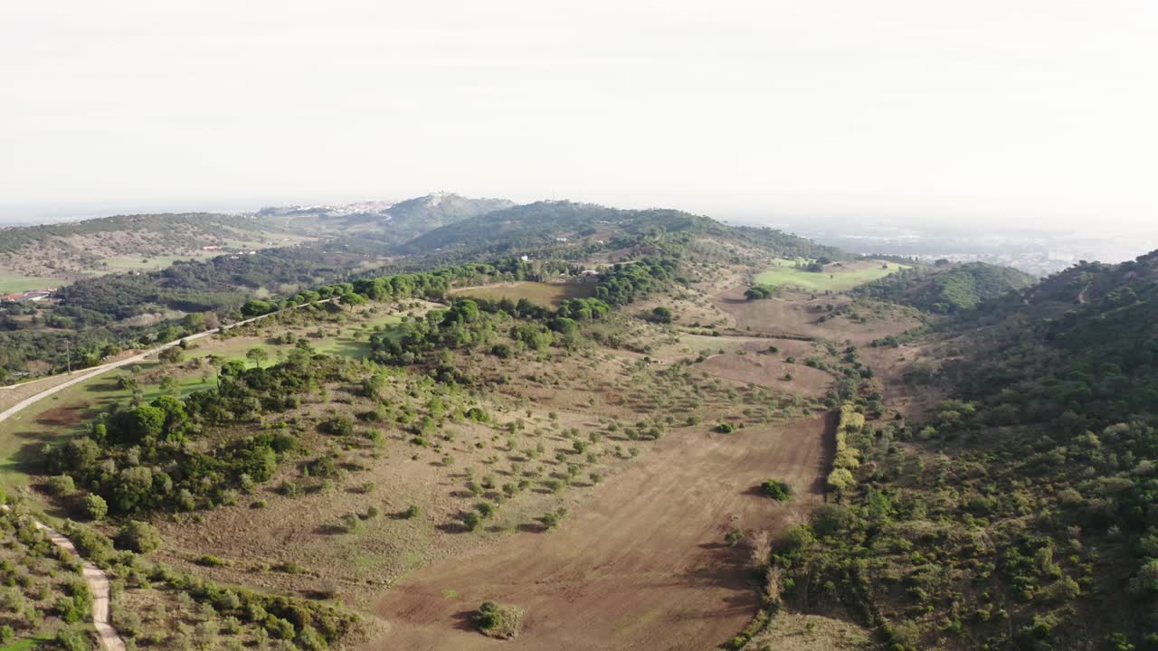 Ripresa aerea con drone di un paesaggio collinare soleggiato con piantagioni, campi e alberi.