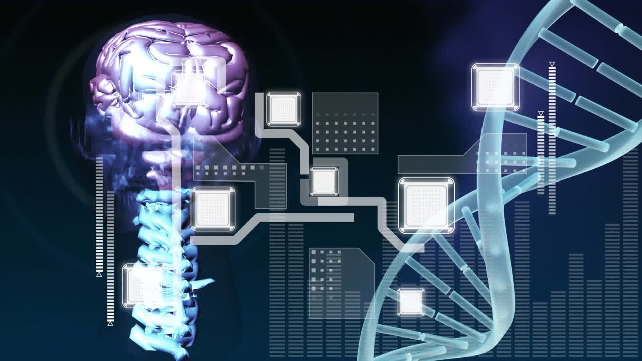 Animation of data processing and brain over dna strand