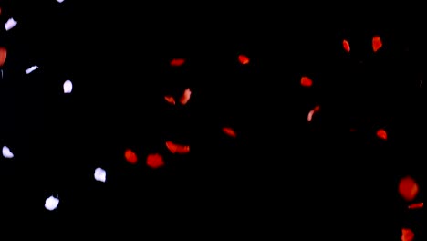 rose petals falling