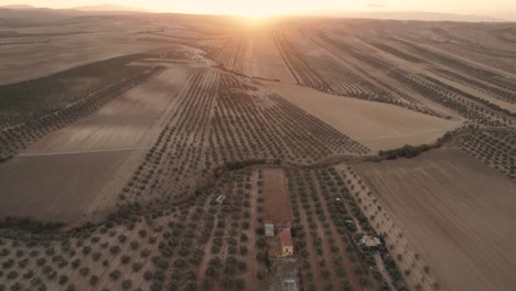 Vista-Aérea-Ascendente-De-La-Puesta-De-Sol-Sobre-Cultivos-Rurales-En-La-Provincia-De-Málaga-En-España