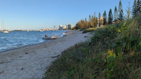 pan up, beach grass with the city, boat and beach in the background.
