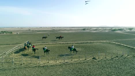 kids riding horses aerial shot in 1080p slowmotion