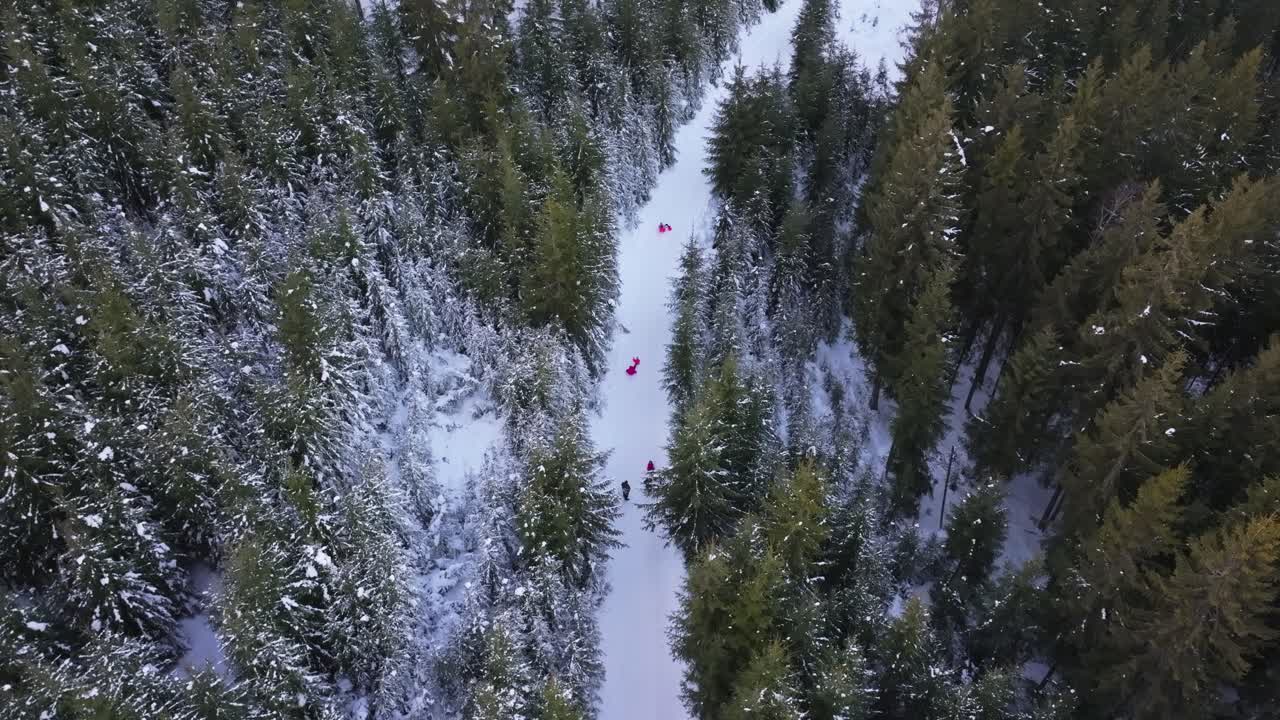 4K Cinematic Drone Footage of a sled in the snow, Bilbor – Romania_012