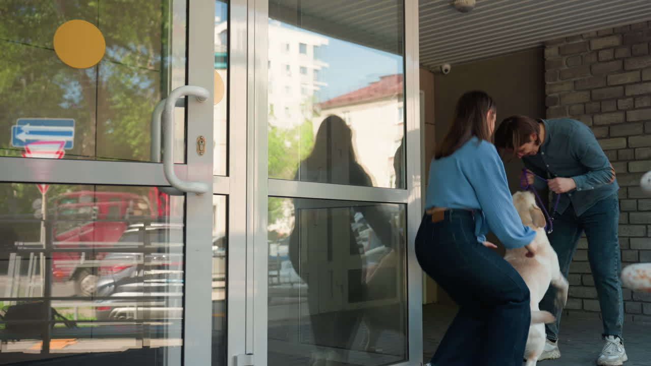 백인 여성이 입구 밖에서 강아지 산책하는 사람을 만나는 모습, 목줄을 착용한 장난기 넘치는 래브라도와 간식을 주는 자세를 취한 남성, 강아지를 쓰다듬기 위해 무릎을 꿇은 주인, 유리문 반사 및 도시 보도, 캐주얼 재킷