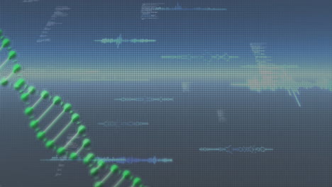 animation of dna strand and data processing