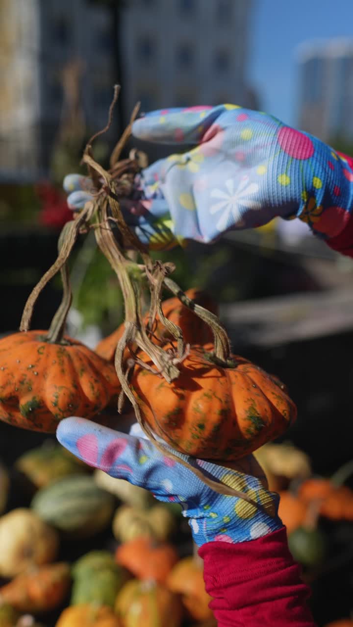 manos sosteniendo calabazas en un mercado al aire libre