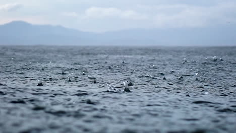 slow motion of rain dropping into the endless ocean. it briefly bounces back to the air after it hits the sea surface.