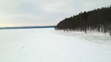 Drohnenaufnahme-Der-Bäume-Am-Ufer-Des-Zugefrorenen-Sees-An-Einem-Kalten,-Bewölkten-Wintertag,-Heranzoomen