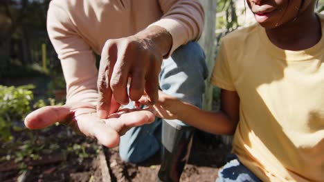 Senior-african-american-grandfather-and-grandson-picking-vegetables-in-sunny-garden,-slow-motion