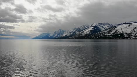 A-low-flying-drone-shot-of-a-large-flock-of-ducks-floating-on-Jackson-Lake,-with-the-Grand-Teton-Range-in-the-background,-in-Grand-Teton-National-Park-of-Northwestern-Wyoming