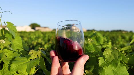 hand holding wine glass in vineyard