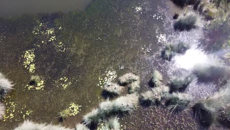 Vista-Aérea-De-Un-Estanque-En-Un-Parque-Australiano