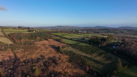 Madera-En-Rollo,-Wicklow,-Irlanda