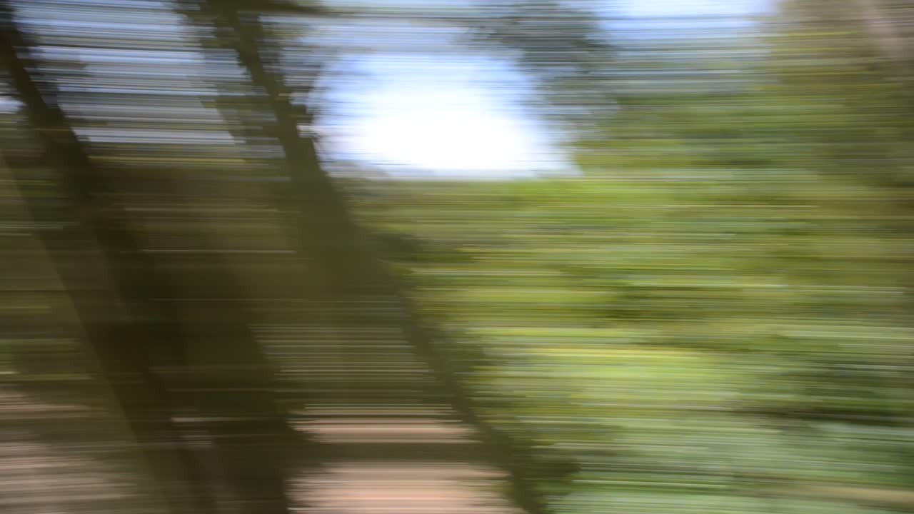 Nature, mouvement rapide de la caméra. Effet d'arrière-plan.