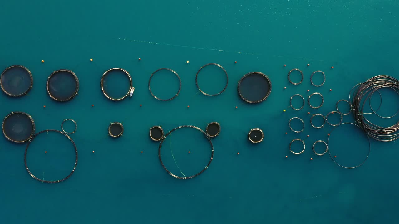 토네이도 농장 고리 들 의 위상