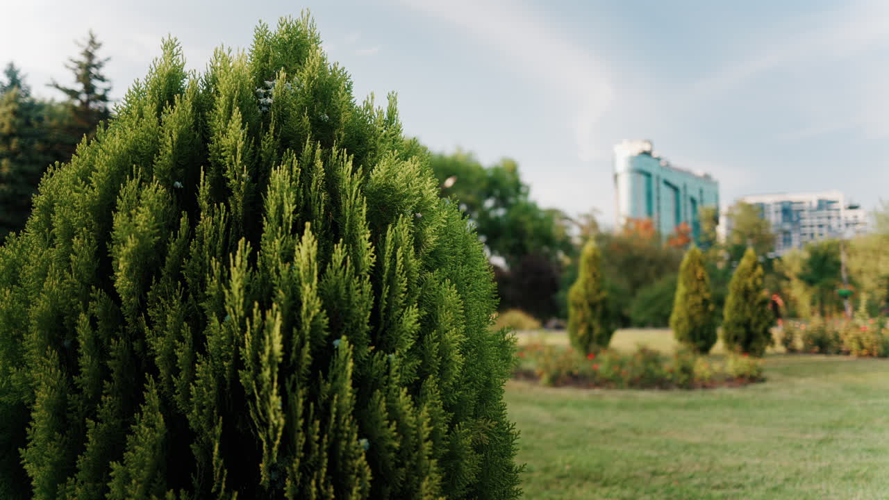 View of a park with lush greenery, trimmed bushes, and trees, with a modern building in the background