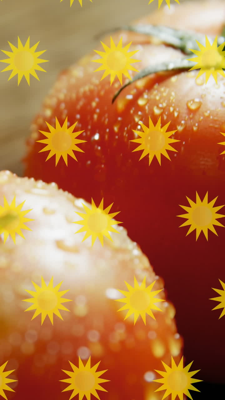 토마토 위에 여러 개의 태양이 떨어지는 애니메이션