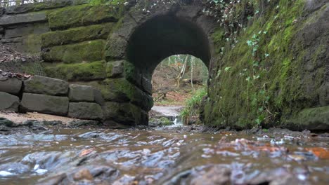 static shot of small moss covered foot bridge with stream of water