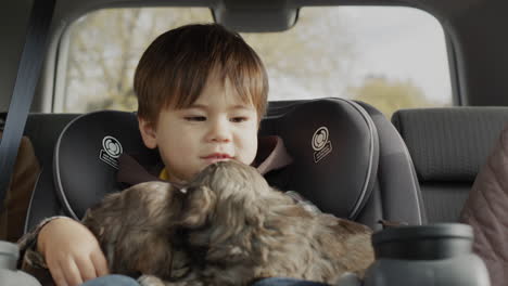 asian kid rides a child car seat, next to him are several puppies.