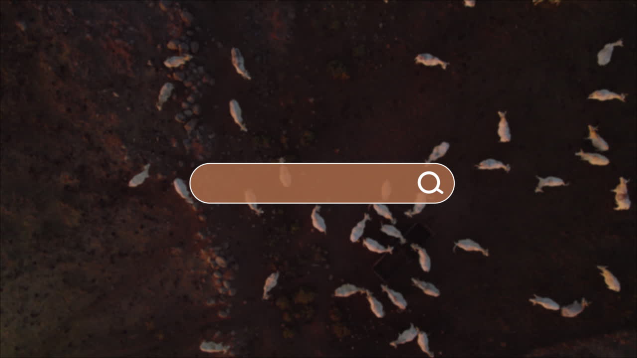 The search field appears as natural landscapes and quiet retreats become visible with the jet moving over a plain backdrop inviting your search term