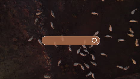 the search field appears as natural landscapes and quiet retreats become visible with the jet moving over a plain backdrop inviting your search term