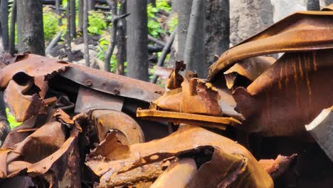 Rusty-abandoned-junk-car-wrack-located-in-a-green-forest,-panning-shot