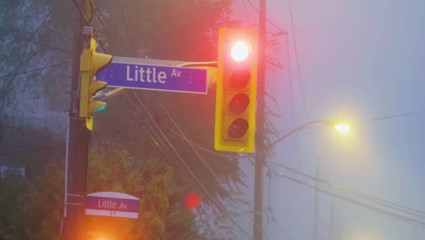 luz de la calle brillando de rojo y luego volviéndose verde con una señal de giro a la izquierda en una mañana brumosa