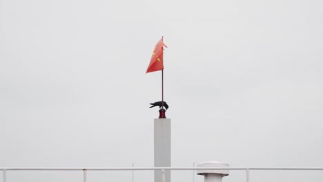 Eine-Zeitlupenaufnahme-Mit-60-Bildern-Pro-Sekunde-Einer-Schwarzen-Krähe,-Die-Unter-Der-Vietnamesischen-Flagge-Thront-Und-Vor-Einem-Hellen-Hintergrund-Im-Wind-Flattert