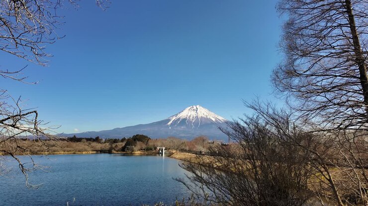 A slow camera movement reveals a breathtaking wide view of Mount Fuji and Lake Tanuki, framed by delicate winter tree branches against a crisp, cloudless blue sky in Shizuoka, Japan