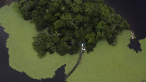 AERIAL---Wetlands-and-forest-in-Killarney-National-Park,-Ireland,-top-down-circling