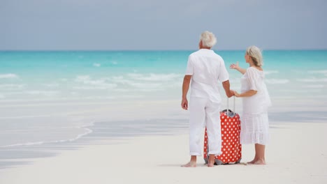 male female caucasian seniors on beach with suitcase
