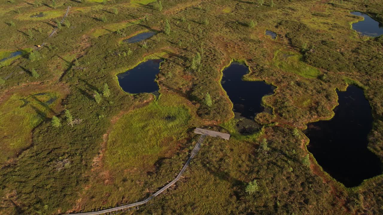 Aerial view of a lush peat bog with winding wooden boardwalks, small ponds, grassy patches, and scattered trees across the wetland landscape