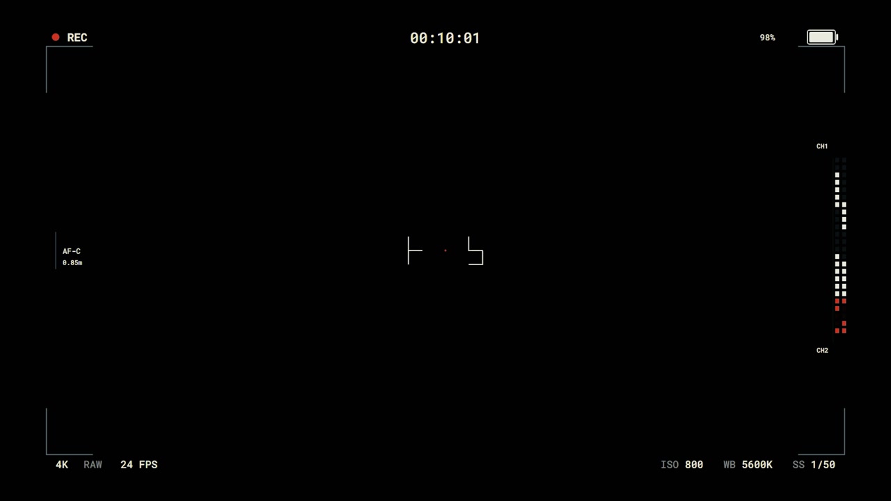 Digital Camera Viewfinder Interface Overlay on Black Background