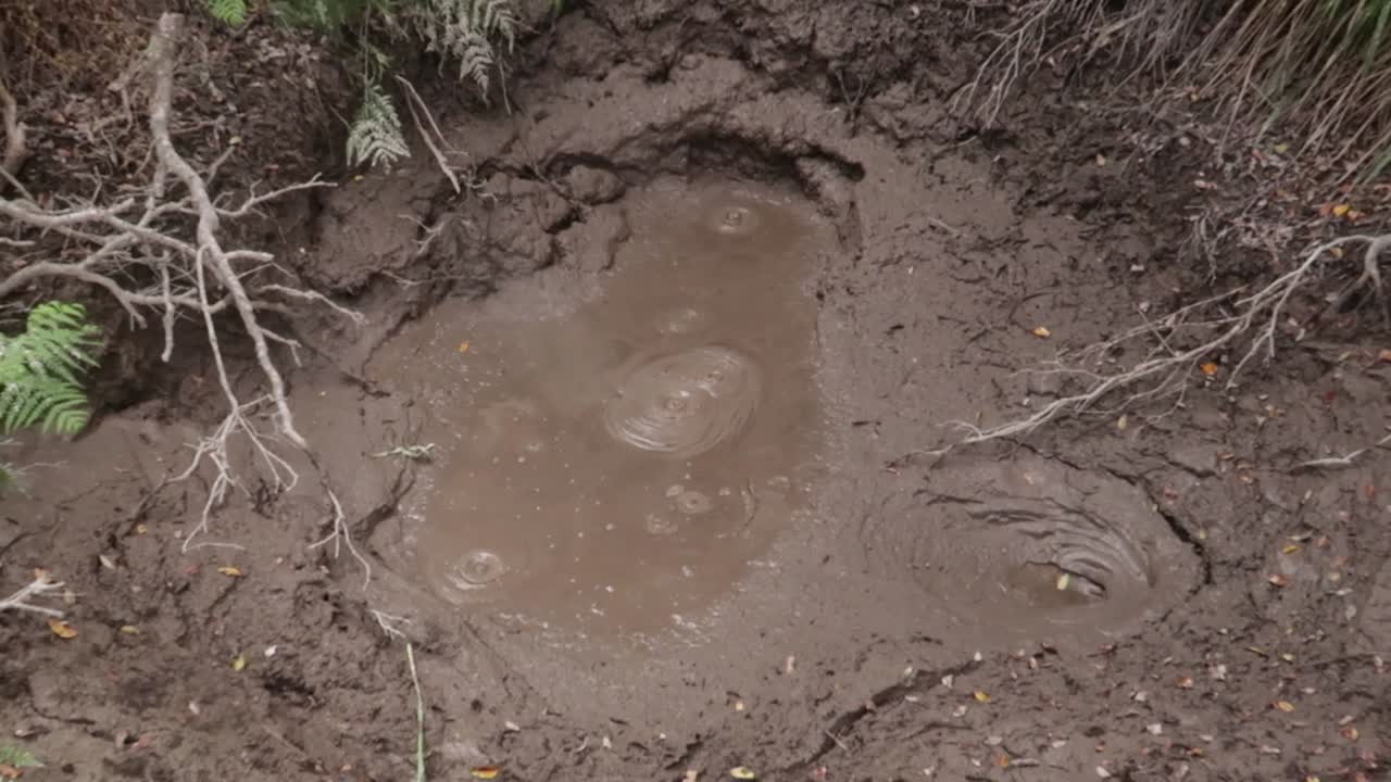 Bubbling mud due to geothermal activity