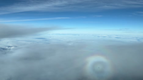 the halo, anthelion of a jet while overflying a layer of stratus cloluds in a bright winter day