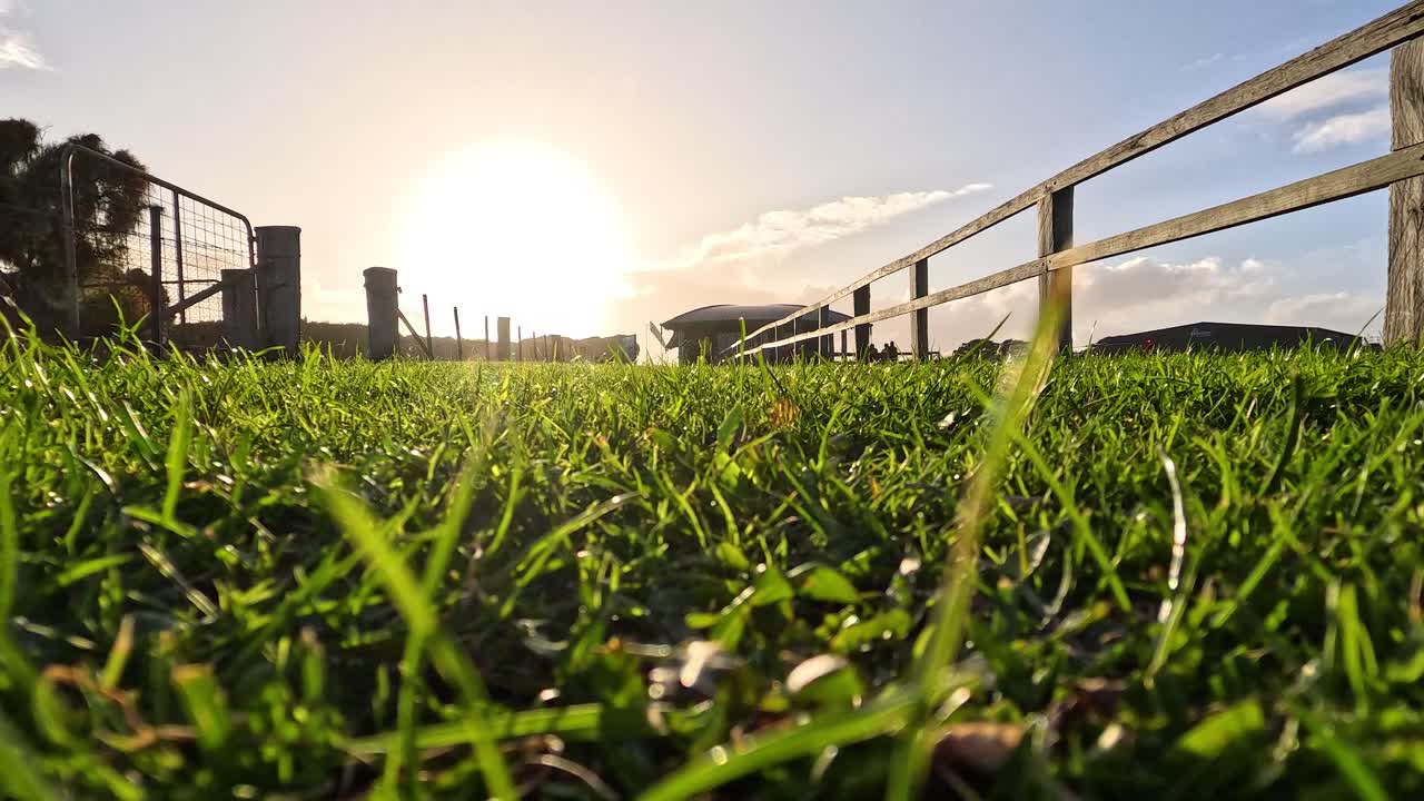 푸른 풀 위 의 해 가 지는 모습