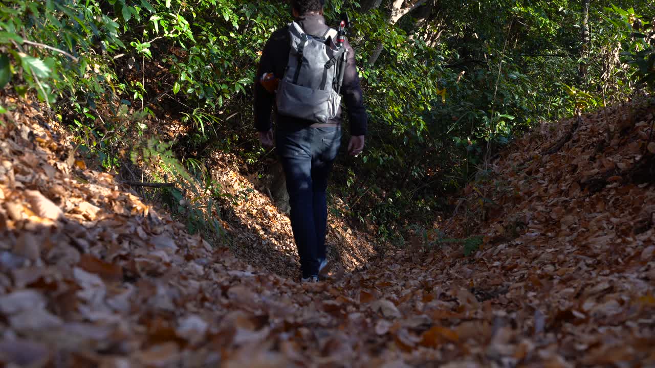 un joven que camina por el camino angosto que se dirige al bosque con hojas secas en el suelo bajo el reflejo de una luz solar brillante - plano general