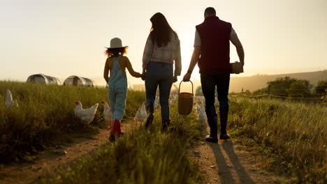 family enjoying a sunset walk on a farm with chickens
