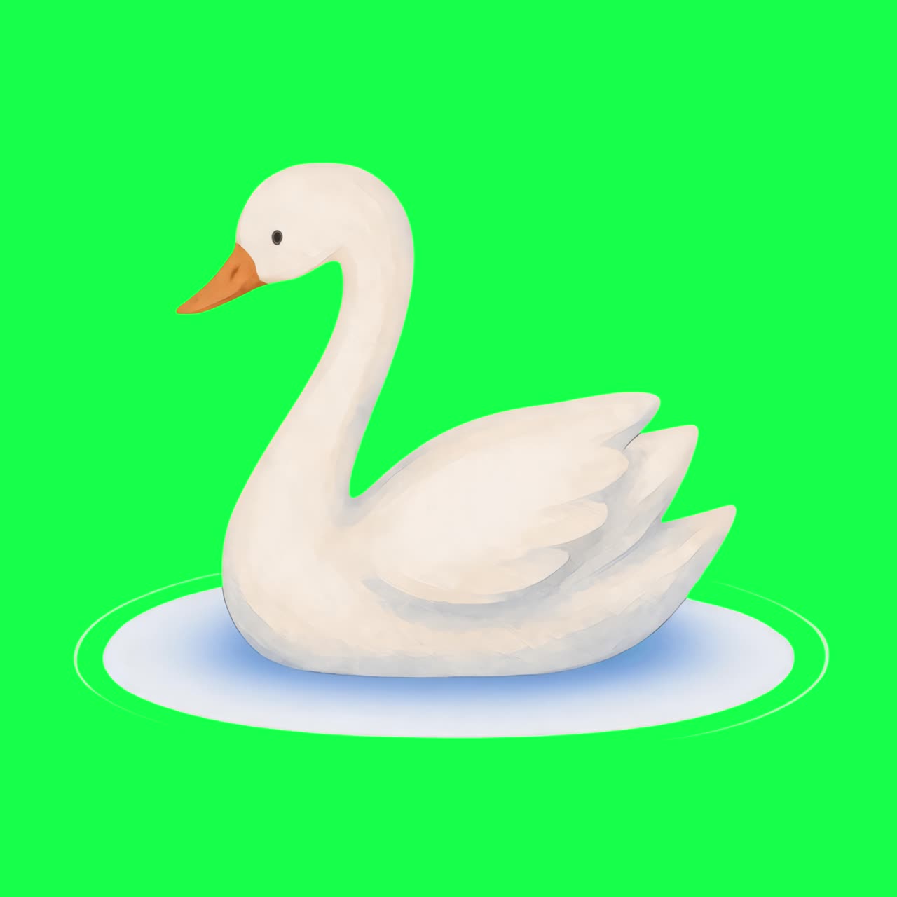 Elegantní labuť v animaci klidné vody, transparentní video 4K, zelené pozadí