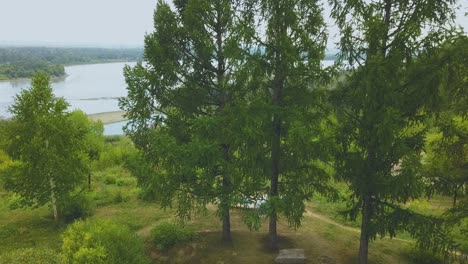 novio y novia cerca de los abetos contra el río vista de pájaro