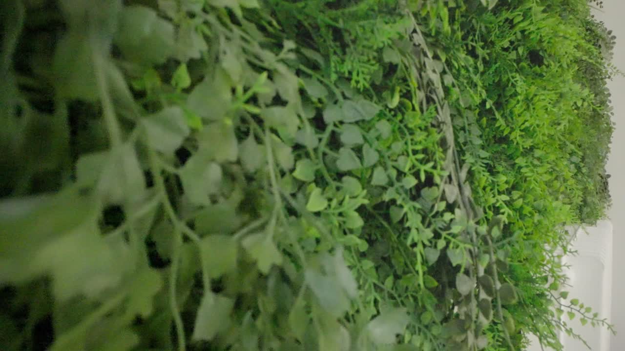 вертикальный сад приближается к офису