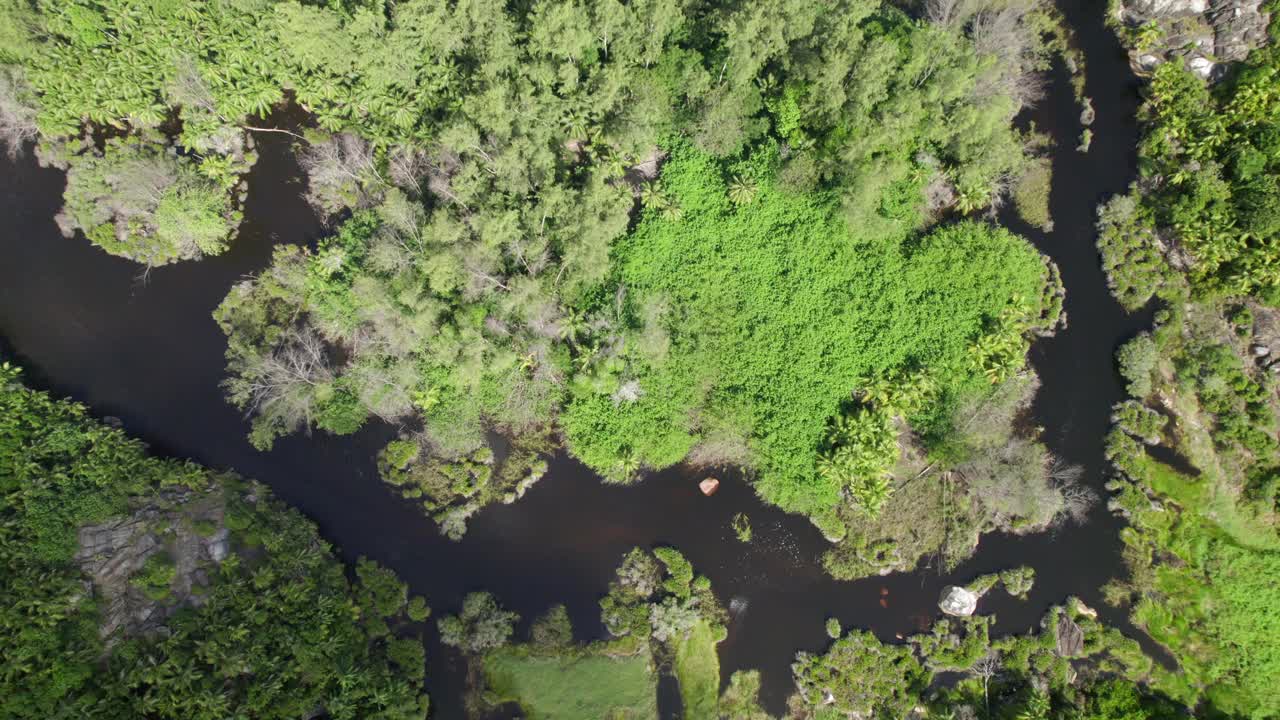 Drone footage of the Police bay mangrove, Mahe Seychelles, 30fps 7
